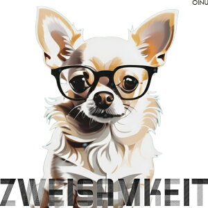 Kl `  NbVJo[ 45×45cm Aj}   NbV{̕t ` t@