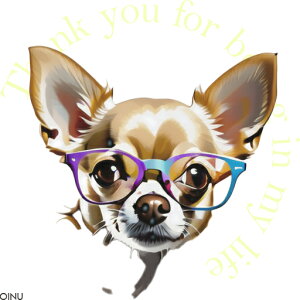 Kl ` 킢   NbVJo[ 45×45cm Aj}  NbV{̕t ` t@