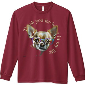 TVc lԗp Y Ht vg W[ AEghA JWA 킢 t@ Kl `  