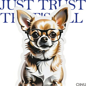 Kl `  킢 JWA NbVJo[ 45×45cm Aj}  NbV{̕t ` t@