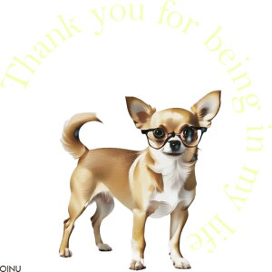 Kl ` TOX   n[gt NbVJo[ 45×45cm Aj}  NbV{̕t ` t@