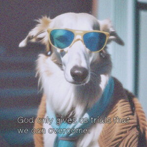 TOX {]C }t[ WPbg  NbVJo[ 45×45cm Aj}   NbV{̕t ` t@