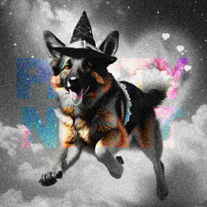 @g W[}VFp[hhbO Xq _ p[eB[iCg n[g NbVJo[ 45×45cm Aj}   NbV{̕t ` t@