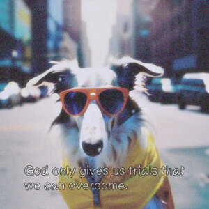 TOX {[_[R[ X  NbVJo[ 45×45cm Aj}   NbV{̕t ` t@