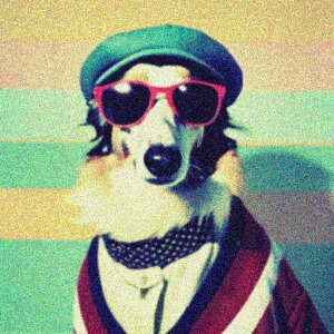 TOX {]C Xq XJ[t NbVJo[ 45×45cm Aj}   NbV{̕t ` t@