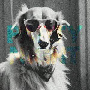 TOX S[fgo[ XJ[t NbVJo[ 45×45cm Aj}   NbV{̕t ` t@