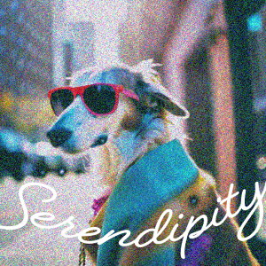 TOX ̑ }t[ lG NbVJo[ 45×45cm Aj}   NbV{̕t ` t@