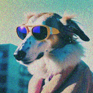 �T���O���X �{�[�_�[�R���[ �� �J���t�� �N�b�V�����J�o�[ 45×45cm �A�j�}���� ������� ���� �N�b�V�����{�̕t�� �����` ���t�@��