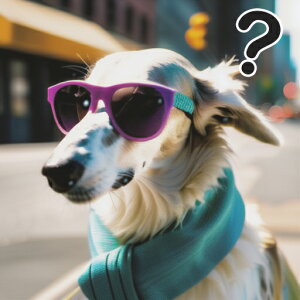 TOX oZW[ }t[ NbVJo[ 45×45cm Aj}   NbV{̕t ` t@