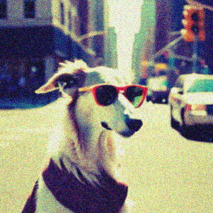 TOX {]C X  ̎ NbVJo[ 45×45cm Aj}   NbV{̕t ` t@