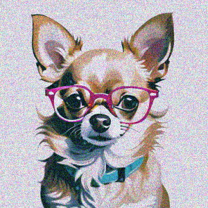 Kl `  NbVJo[ 45×45cm Aj}   NbV{̕t ` t@