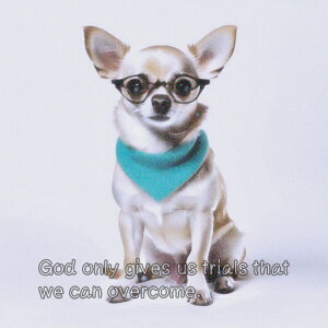 TOX ` XJ[t  NbVJo[ 45×45cm Aj}   NbV{̕t ` t@