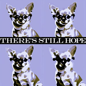 Kl ` |bvA[g ]  NbVJo[ 45×45cm Aj}  NbV{̕t ` t@