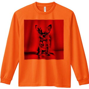 TVc lԗp Y Ht vg W[ AEghA JWA 킢 t@ ዾ ` lN^C ԐFwi