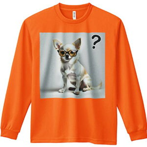 TVc lԗp Y Ht vg W[ AEghA JWA 킢 t@ Kl ` ^╄