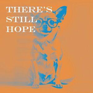 Kl ` ]  NbVJo[ 45×45cm Aj}   NbV{̕t ` t@