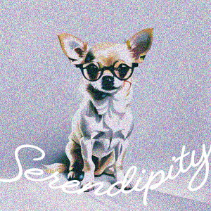 ዾ ` lN^C NbVJo[ 45×45cm Aj}   NbV{̕t ` t@