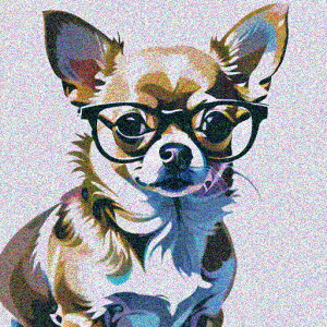 Kl `  GX^C NbVJo[ 45×45cm Aj}  NbV{̕t ` t@