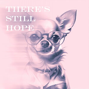 Kl ̑ sN n[g  NbVJo[ 45×45cm Aj}  NbV{̕t ` t@