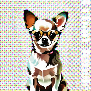 Kl ` NbVJo[ 45×45cm Aj}   NbV{̕t ` t@