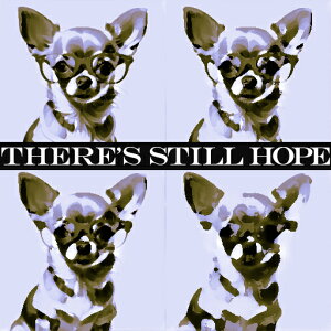 Kl ` eLXg |bvA[g NbVJo[ 45×45cm Aj}   NbV{̕t ` t@