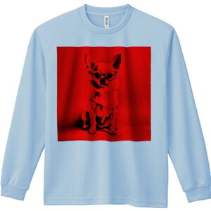 TVc lԗp Y Ht vg W[ AEghA JWA 킢 t@ Kl `  A[g t@bV