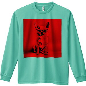 TVc lԗp Y Ht vg W[ AEghA JWA 킢 t@ Kl `  A[g t@bV