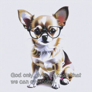 Kl ` ] CXs[V NbVJo[ 45×45cm Aj}   NbV{̕t ` t@