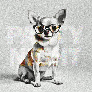 Kl ` p[eB[iCg NbVJo[ 45×45cm Aj}   NbV{̕t ` t@