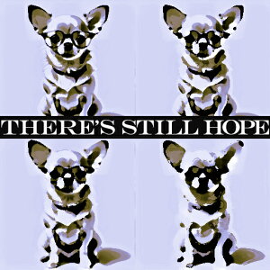 ��] �`���� �|�b�v�A�[�g ���b�Z�[�W �N�b�V�����J�o�[ 45×45cm �A�j�}���� ������� ���� �N�b�V�����{�̕t�� �����` ���t�@��