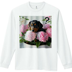 TVc lԗp Y Ht vg W[ AEghA JWA 킢 t@  _bNXth  sN̉ Aؔ ̎q