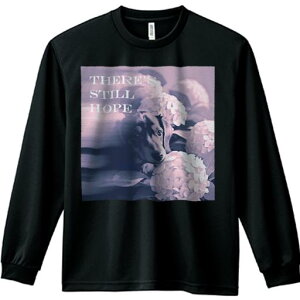 TVc lԗp Y Ht vg W[ AEghA JWA 킢 t@ AWTC _bNXtg  ]