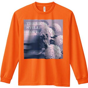 TVc lԗp Y Ht vg W[ AEghA JWA 킢 t@ AWTC _bNXtg  ]