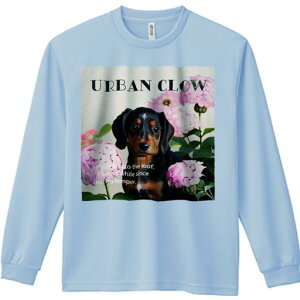 TVc lԗp Y Ht vg W[ AEghA JWA 킢 t@ AWTC _bNXth 