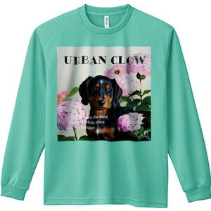 TVc lԗp Y Ht vg W[ AEghA JWA 킢 t@ AWTC _bNXth 