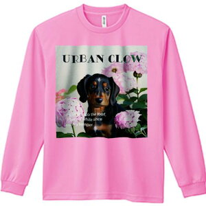 TVc lԗp Y Ht vg W[ AEghA JWA 킢 t@ AWTC _bNXth 