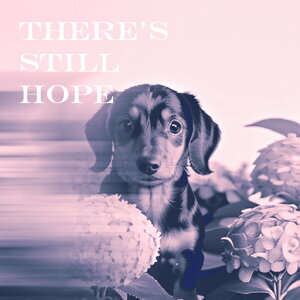 AWTC _bNXtg ] bZ[W NbVJo[ 45×45cm Aj}   NbV{̕t ` t@