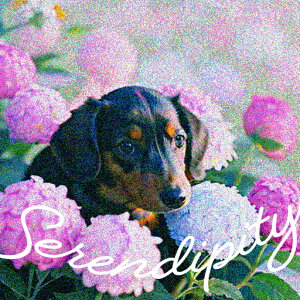 AWTC _bNXtg  R NbVJo[ 45×45cm Aj}   NbV{̕t ` t@