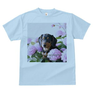 TVc Y LbY t@  t  vg JWA 킢 lԗp tBbglX _X  _bNXth z t[AWg