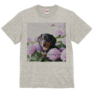 TVc Y LbY t@  t  vg JWA 킢 lԗp tBbglX _X  _bNXth z t[AWg