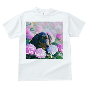 TVc Y LbY t@  t  vg JWA 킢 lԗp tBbglX _X AWTC _bNXtg  R