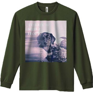 TVc lԗp Y Ht vg W[ AEghA JWA 킢 t@ AWTC _bNXtg ] bZ[W