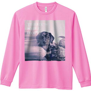 TVc lԗp Y Ht vg W[ AEghA JWA 킢 t@ AWTC _bNXtg ] bZ[W