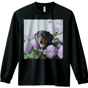 TVc lԗp Y Ht vg W[ AEghA JWA 킢 t@  _bNXth z t[AWg