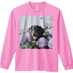 TVc lԗp Y Ht vg W[ AEghA JWA 킢 t@  _bNXth z t[AWg