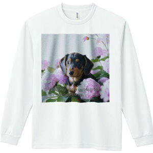 TVc lԗp Y Ht vg W[ AEghA JWA 킢 t@  _bNXth z t[AWg