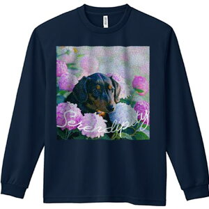 TVc lԗp Y Ht vg W[ AEghA JWA 킢 t@ AWTC _bNXtg  R