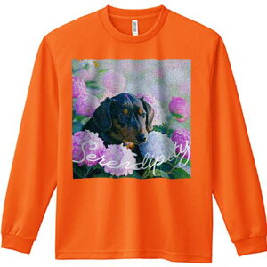 TVc lԗp Y Ht vg W[ AEghA JWA 킢 t@ AWTC _bNXtg  R