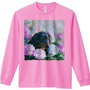 TVc lԗp Y Ht vg W[ AEghA JWA 킢 t@ AWTC _bNXtg  R