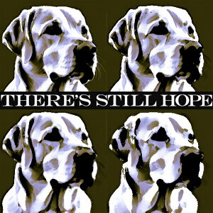 |bvA[g O[gf ] |X^[ NbVJo[ 45×45cm Aj}   NbV{̕t ` t@